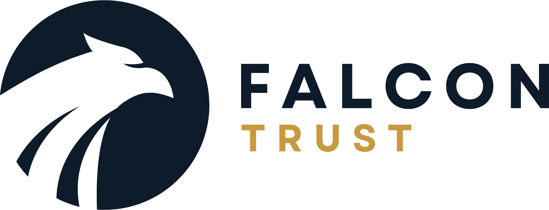Falcon Trust Logo Color PNG